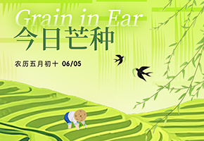 芒种图片