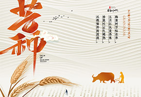 芒种图片