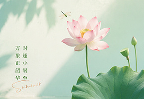小暑图片