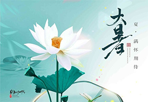 大暑图片