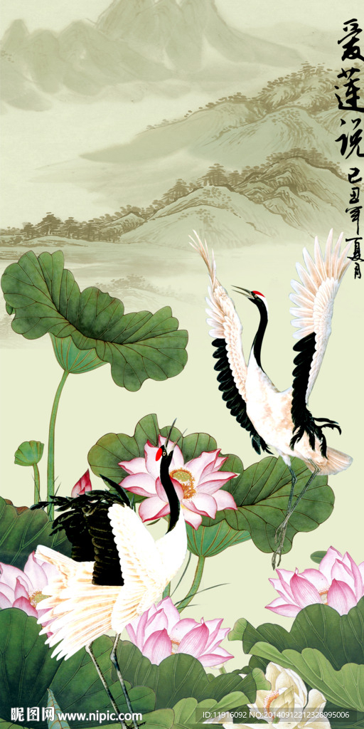 荷花