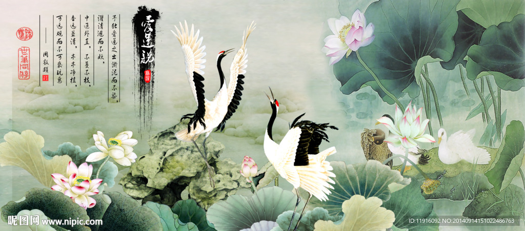 荷花 仙鹤