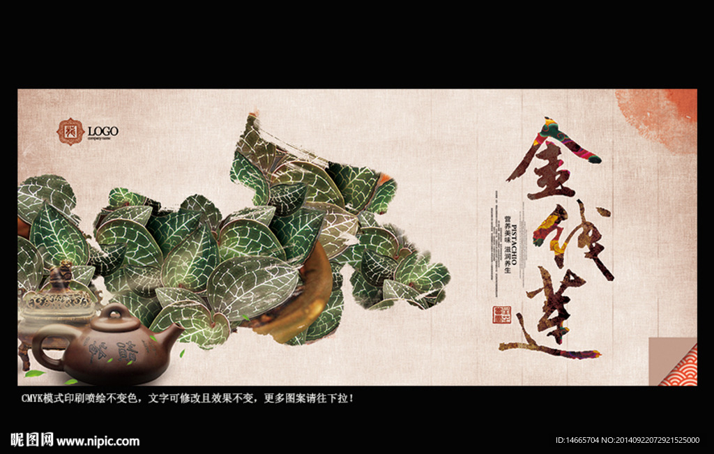 金线莲 中国风