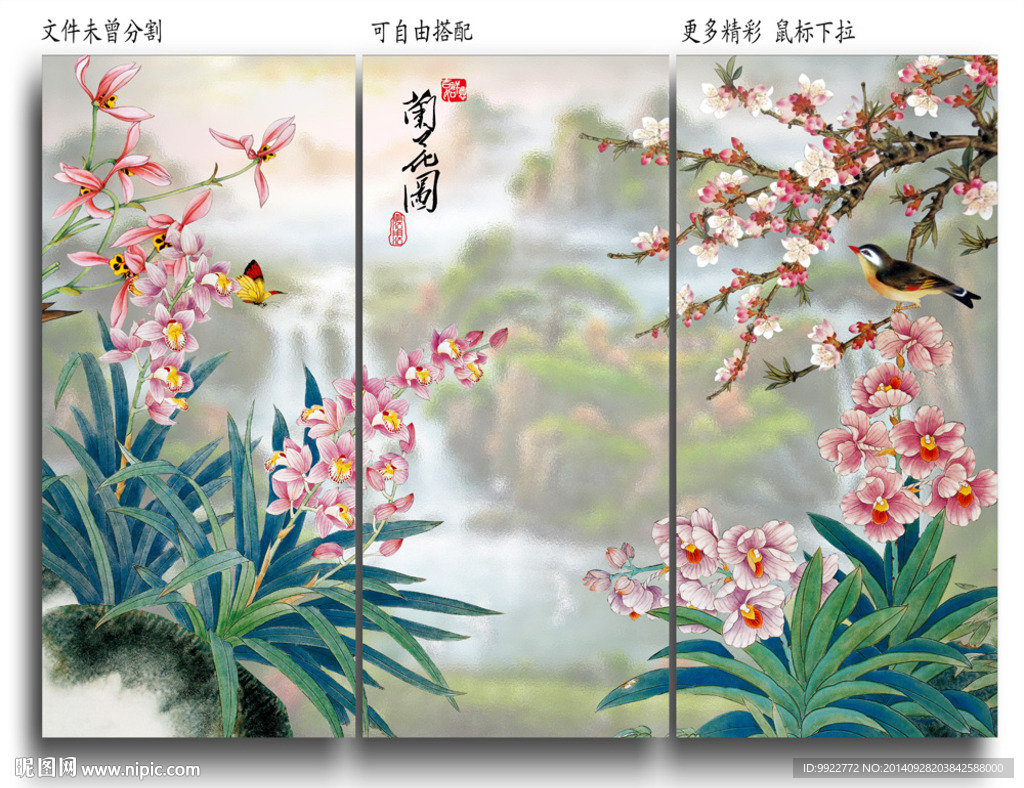 兰花