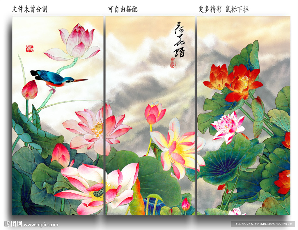 荷花