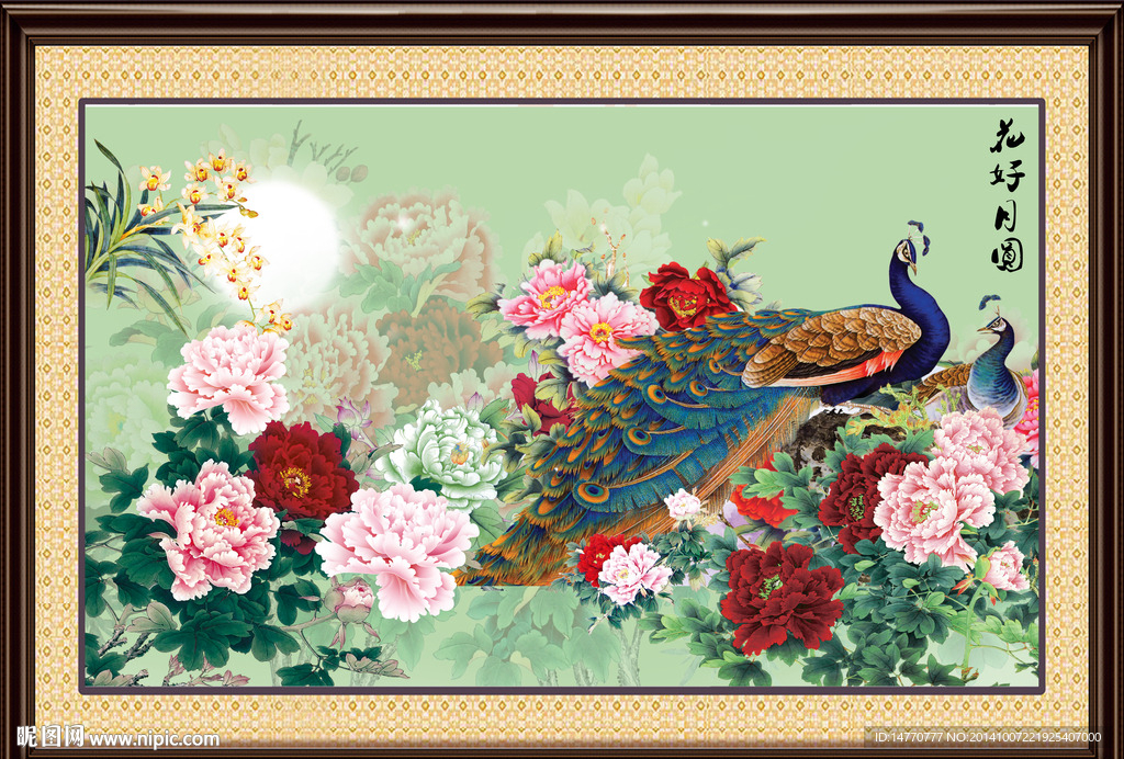 花开富贵孔雀图