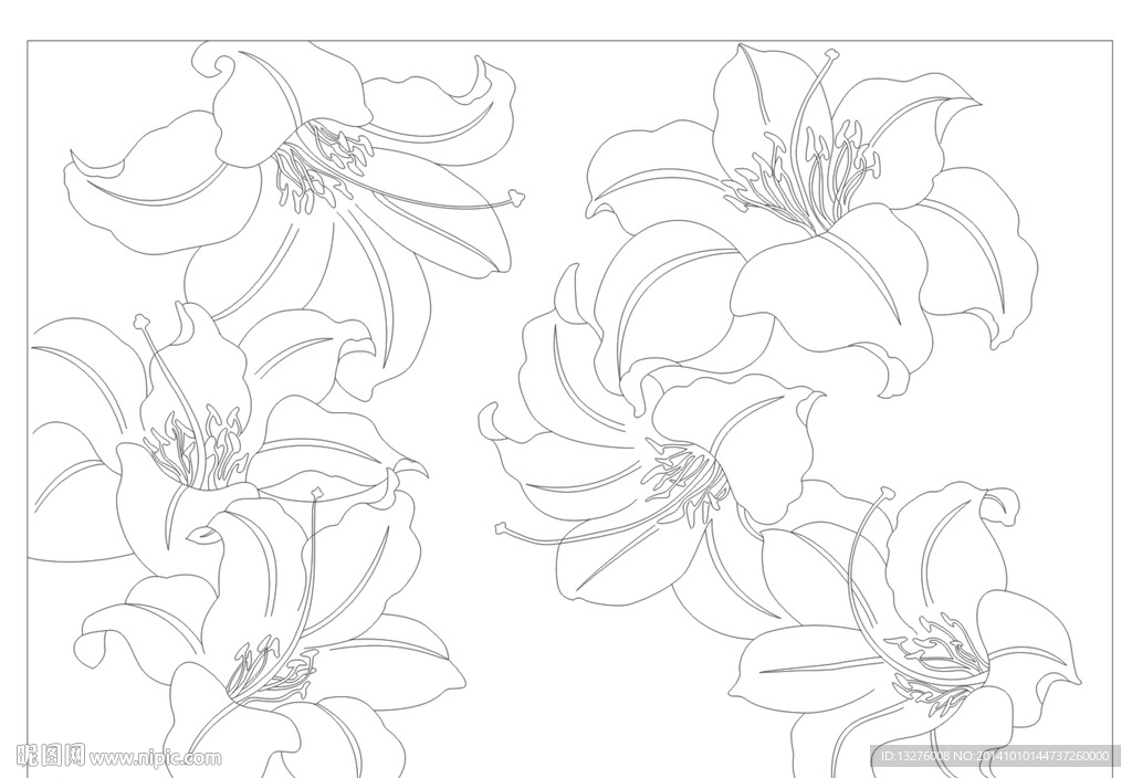 百合花