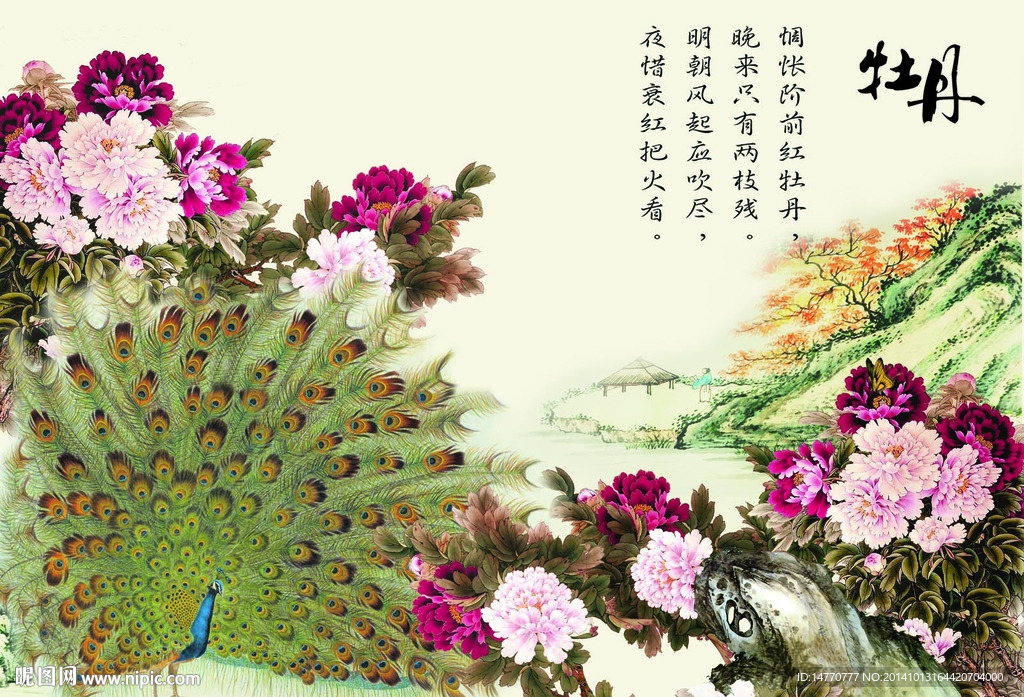 孔雀牡丹图