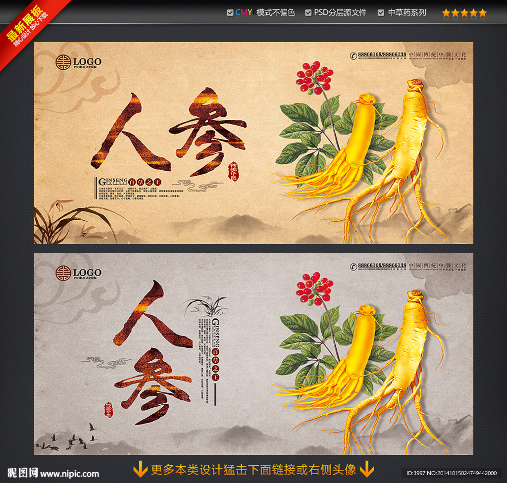 人参 西洋参
