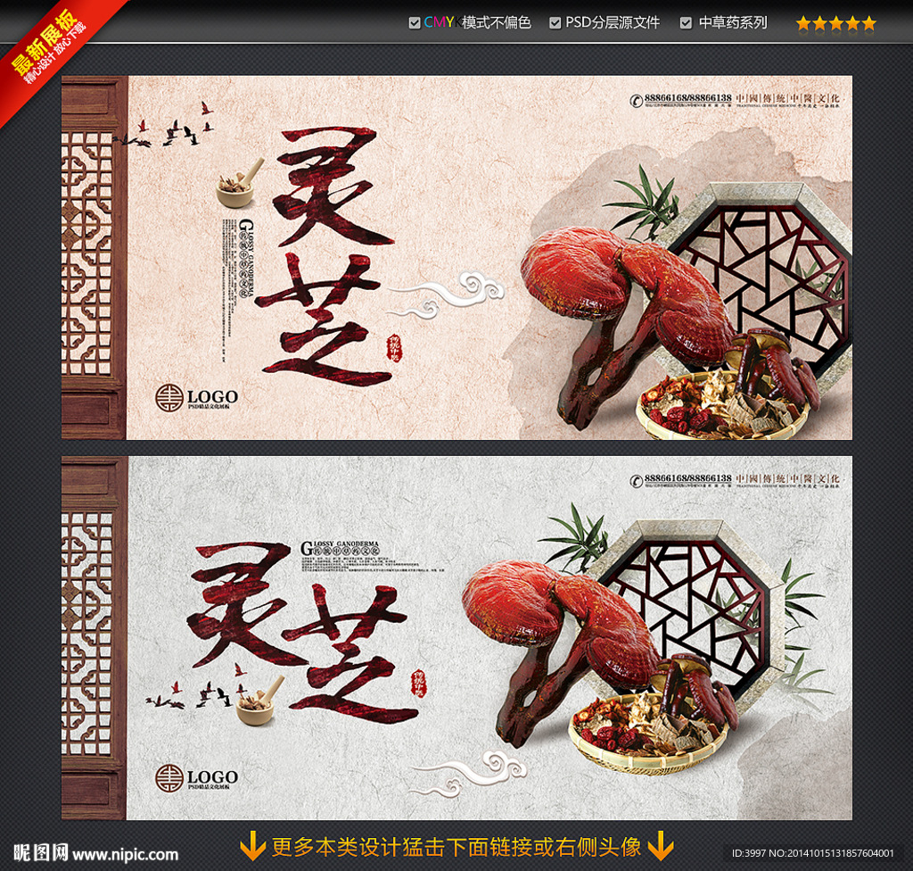 灵芝 中草药