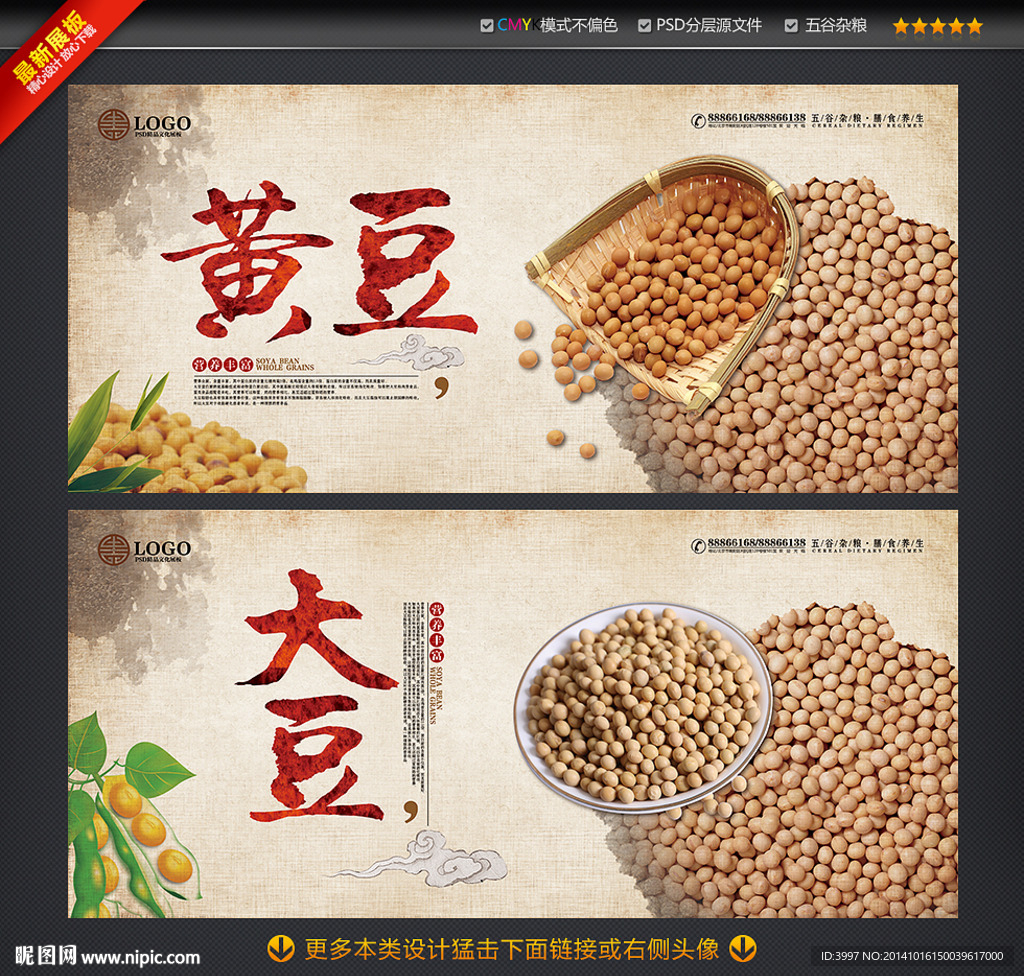 黄豆 大豆五谷杂粮