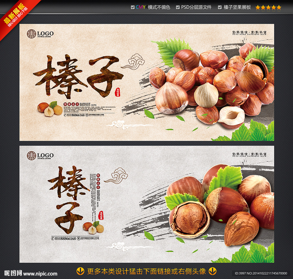 榛子 坚果海报