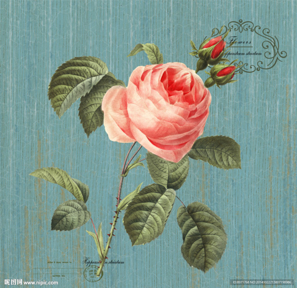 室内花卉无框画