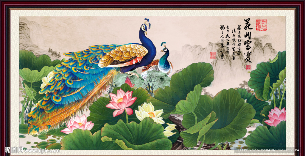 荷花 孔雀
