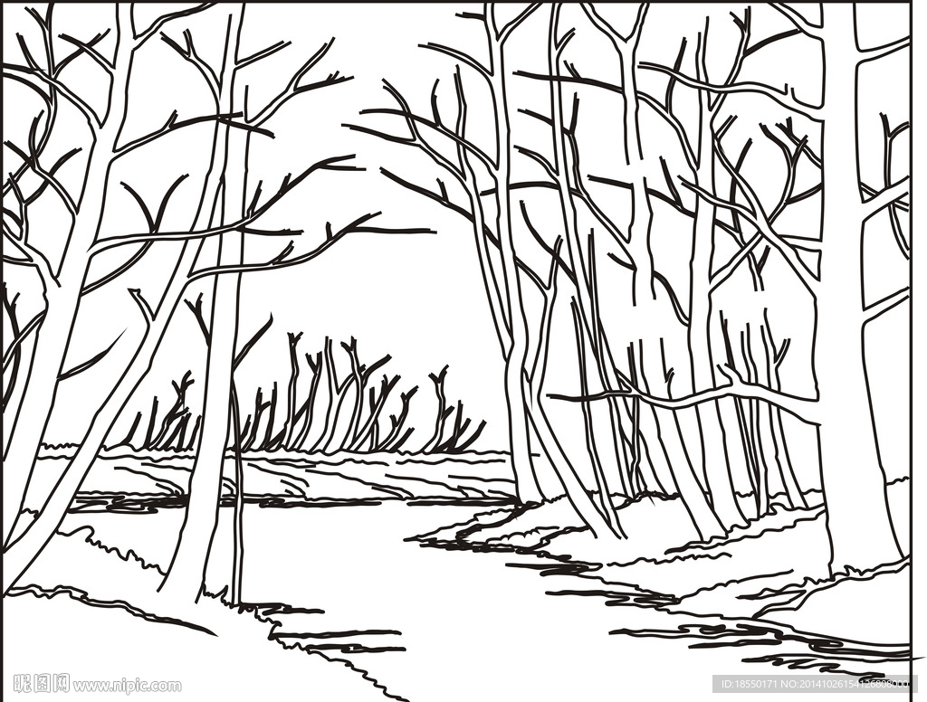 白桦树幼儿简笔画图片