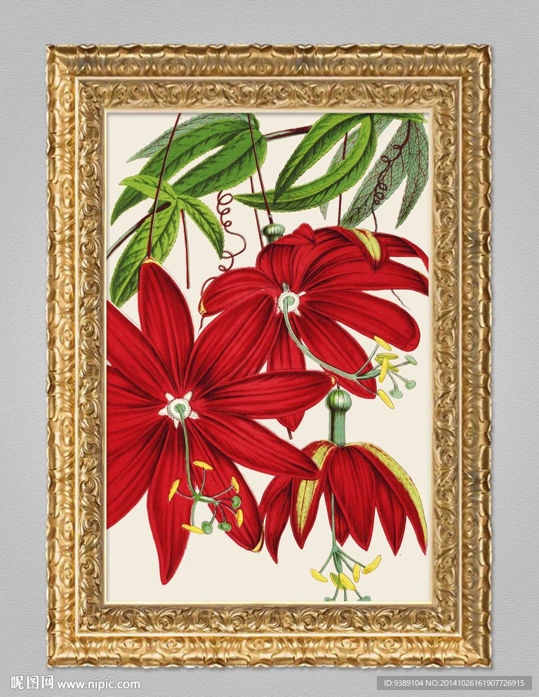 花卉