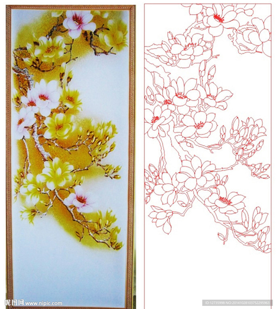 玉兰花