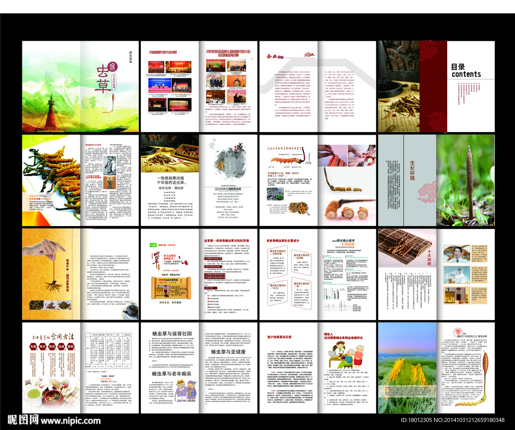 虫草画册