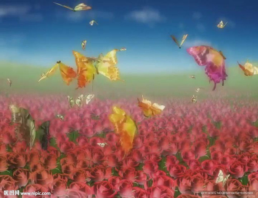 蝶恋花