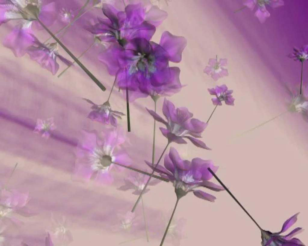 紫花落