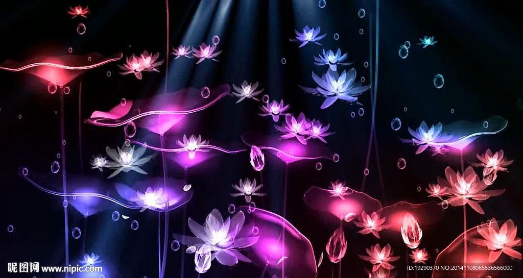 水晶莲花夜景
