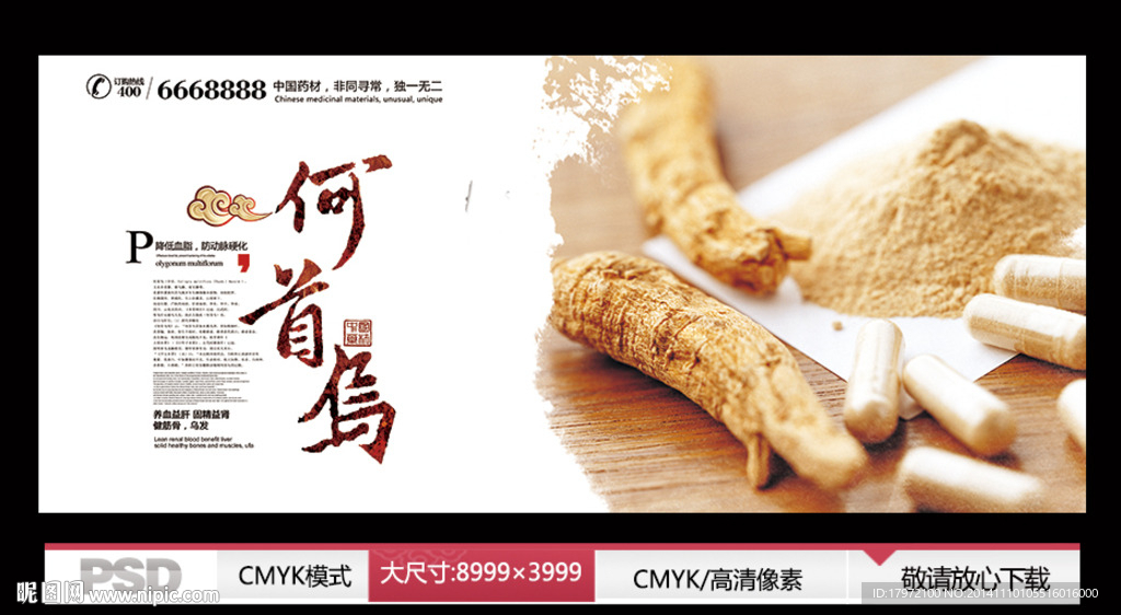 中药何首乌
