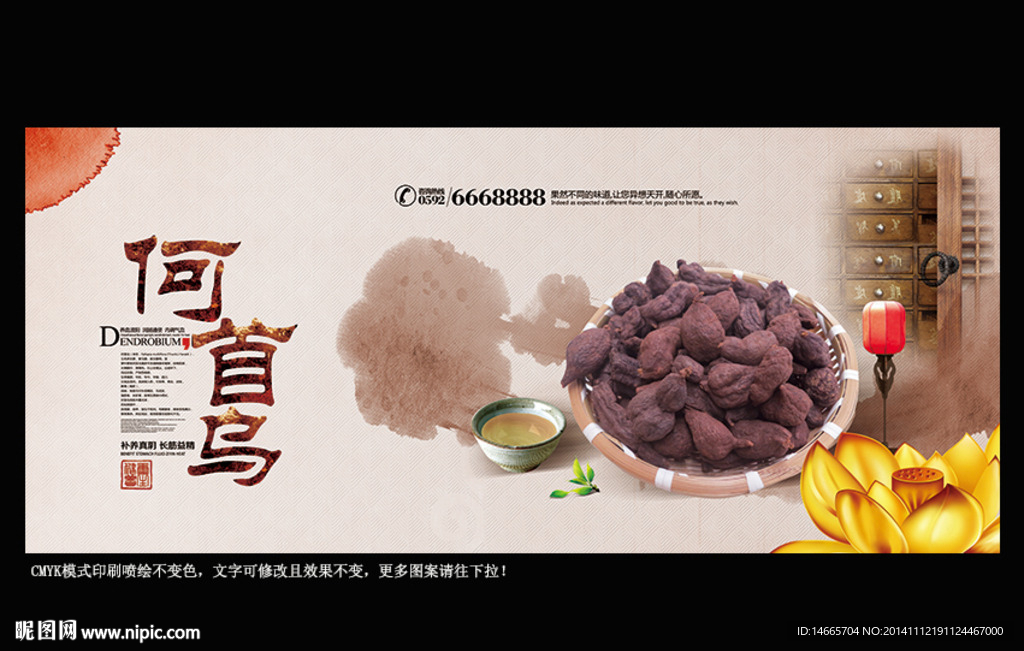 何首乌 中国风