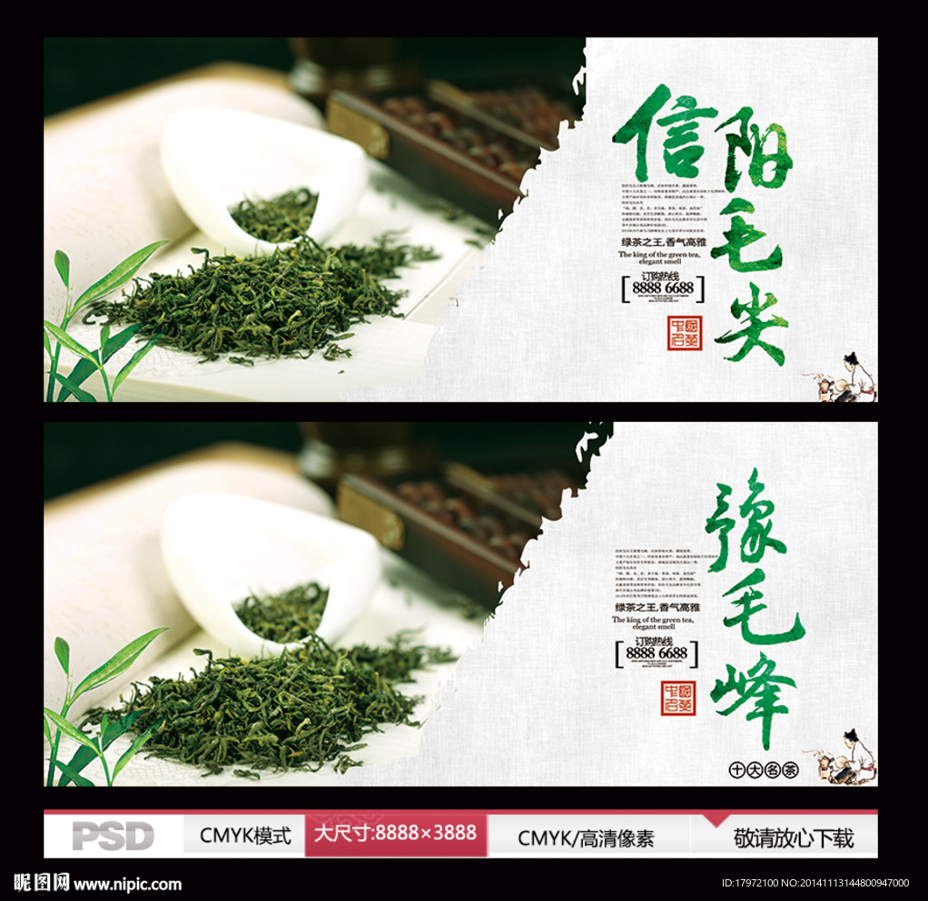 信阳毛尖 豫毛峰