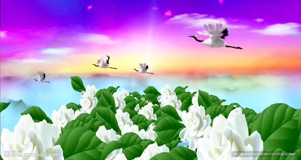 清新茉莉花仙鹤背景