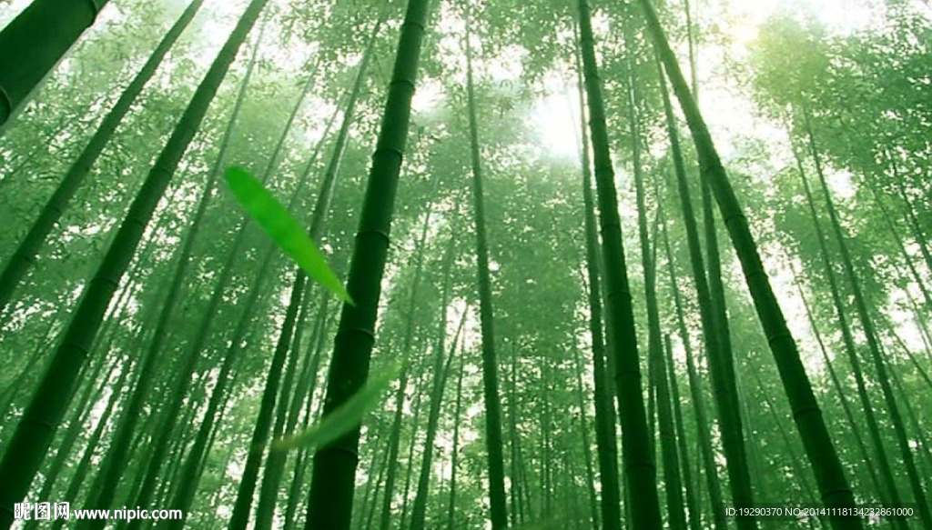 山村老家