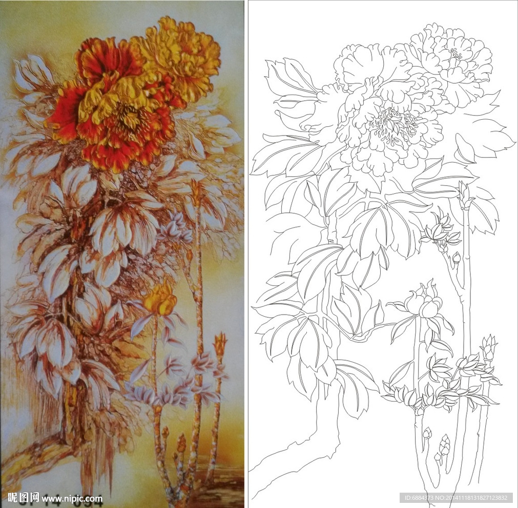 牡丹花