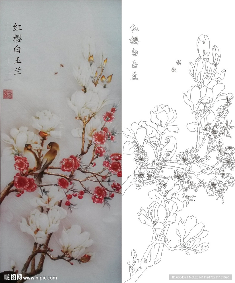 红樱白玉兰