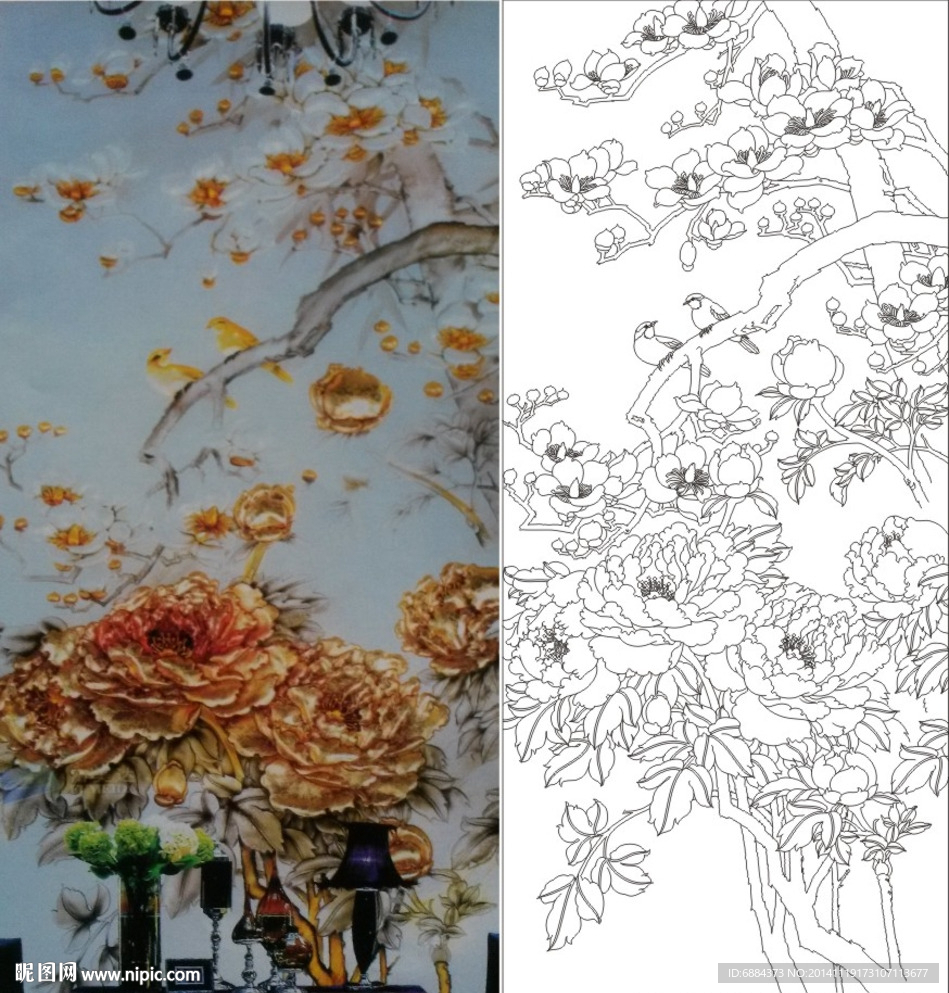 牡丹花