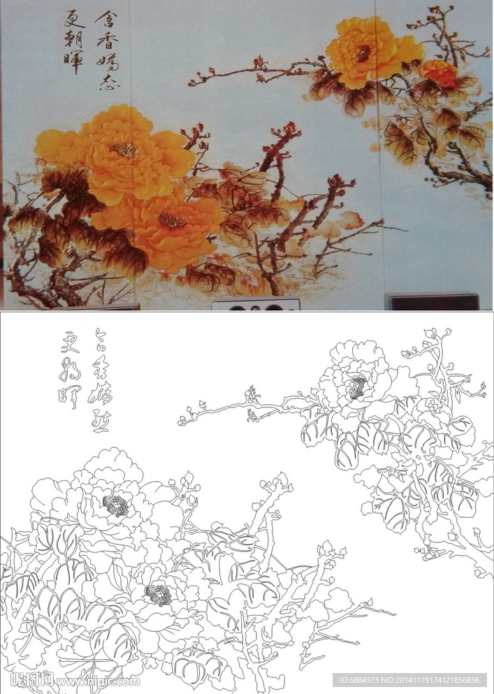 牡丹花