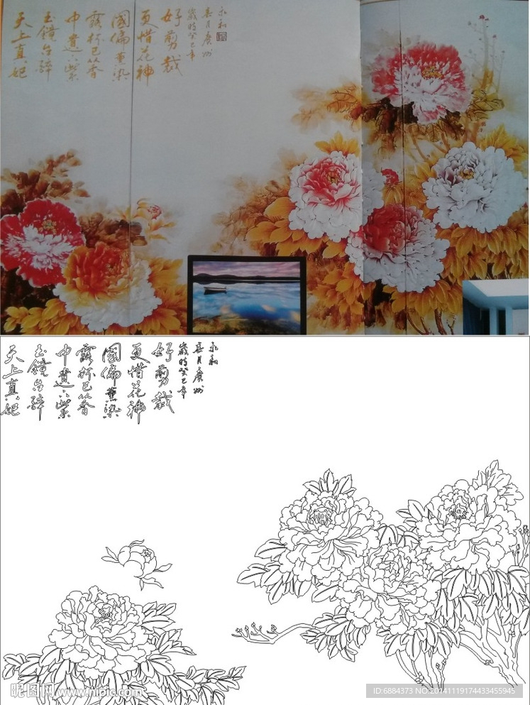 牡丹花