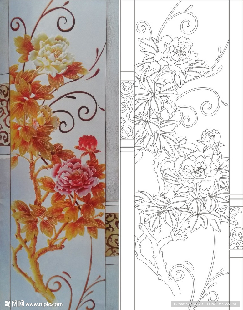 牡丹花
