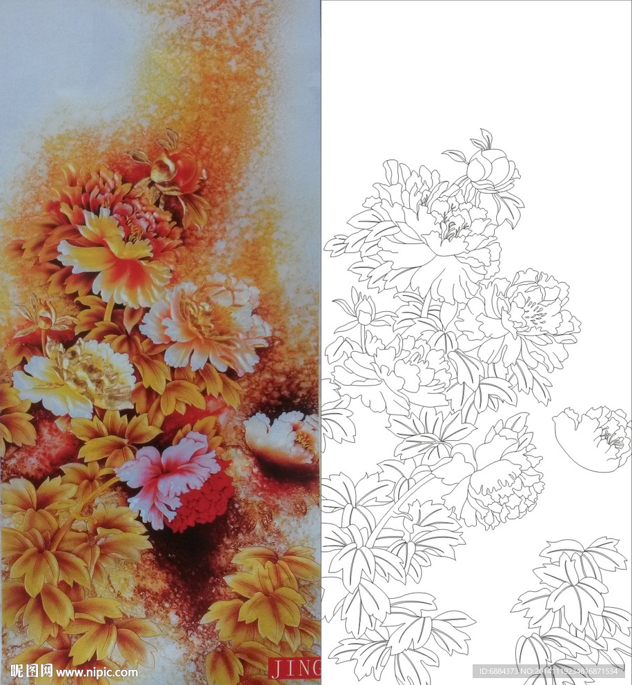 牡丹花