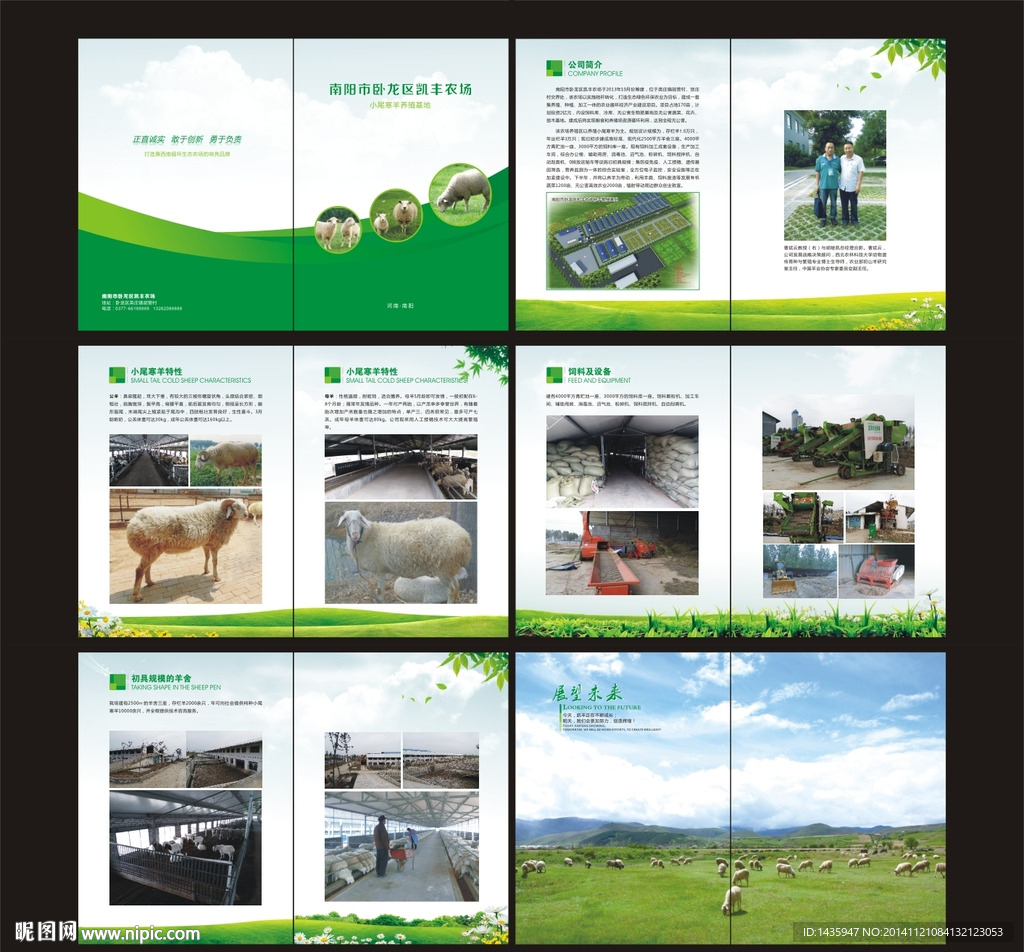养殖场画册 养羊场