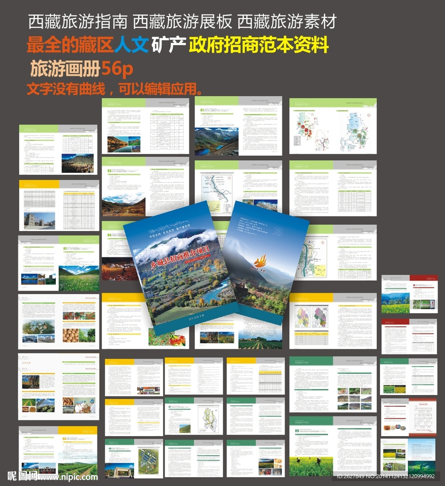 政府农产品招商画册