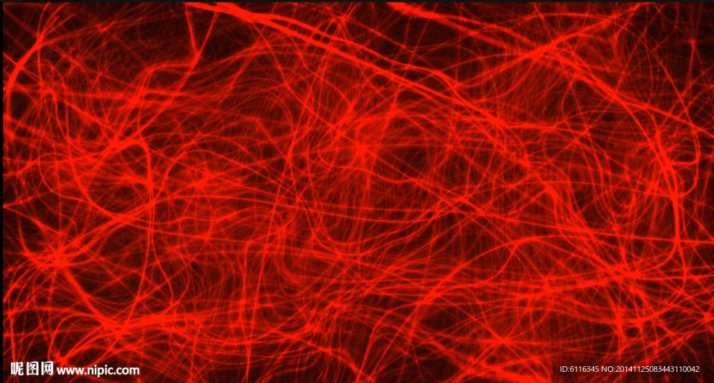数字神经系统