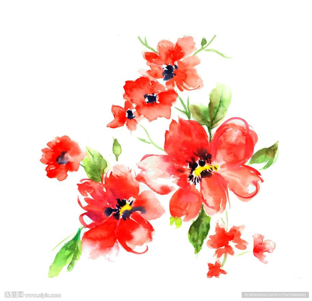 手绘水彩花卉