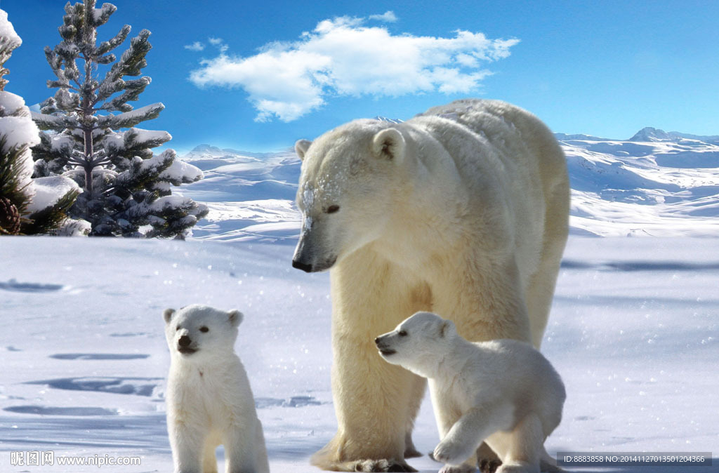 熊熊之家立体画序列图图片