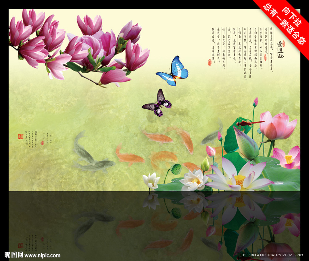 荷花
