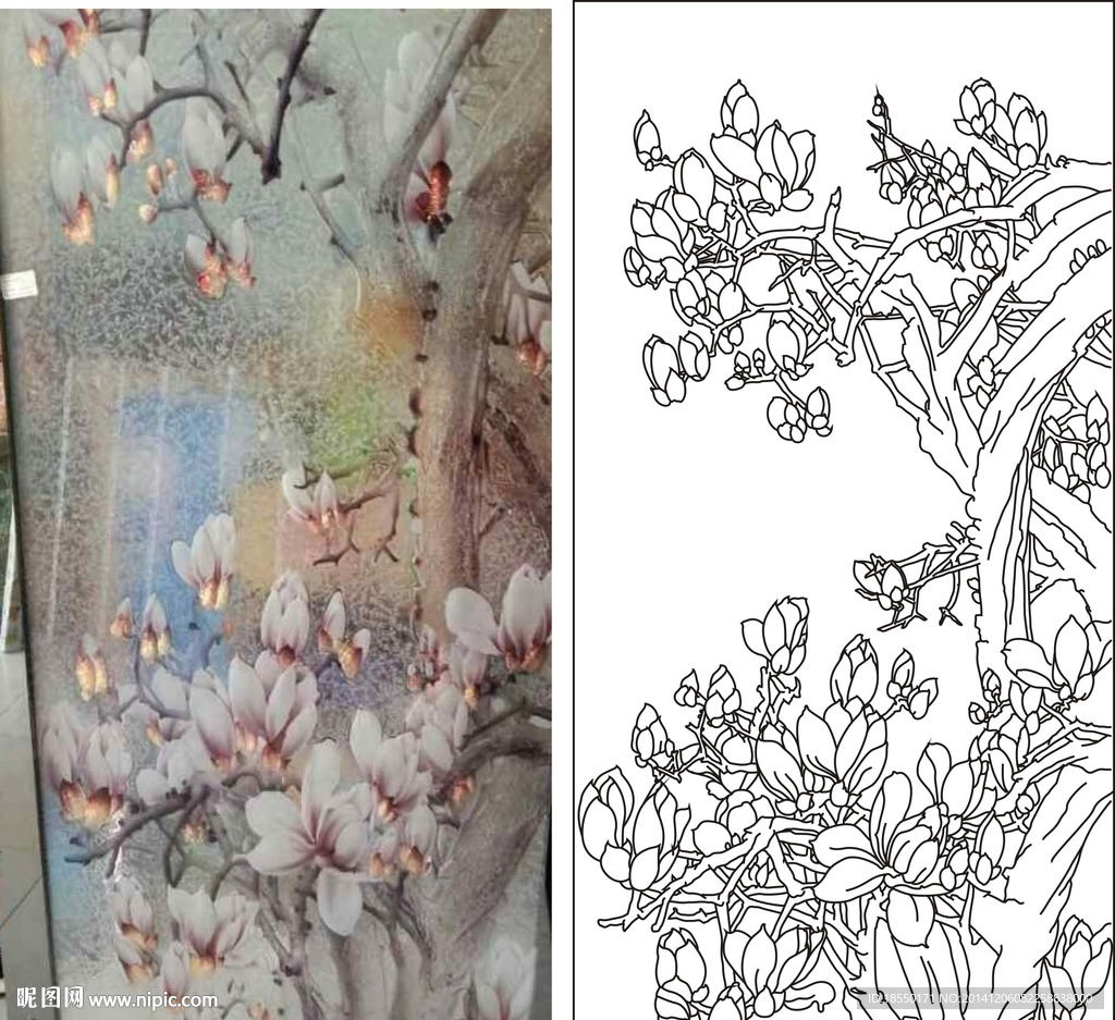 玉兰树