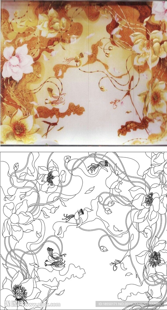荷花