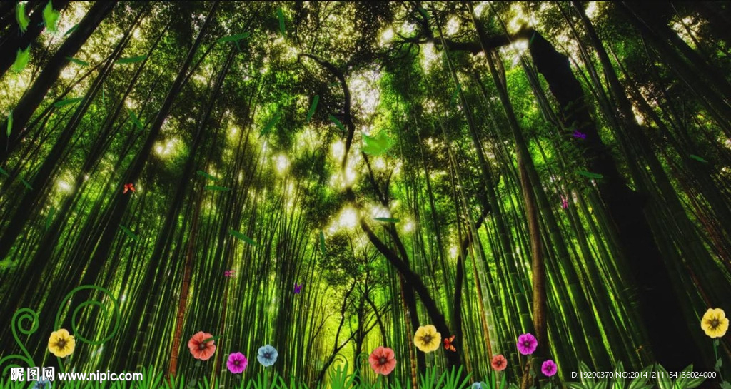 竹林风景