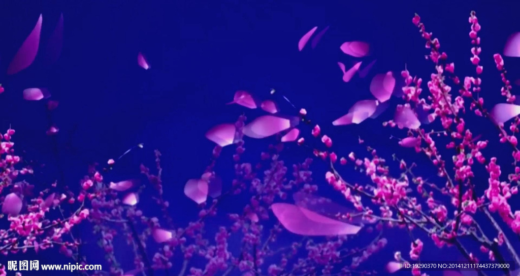 春江花月夜