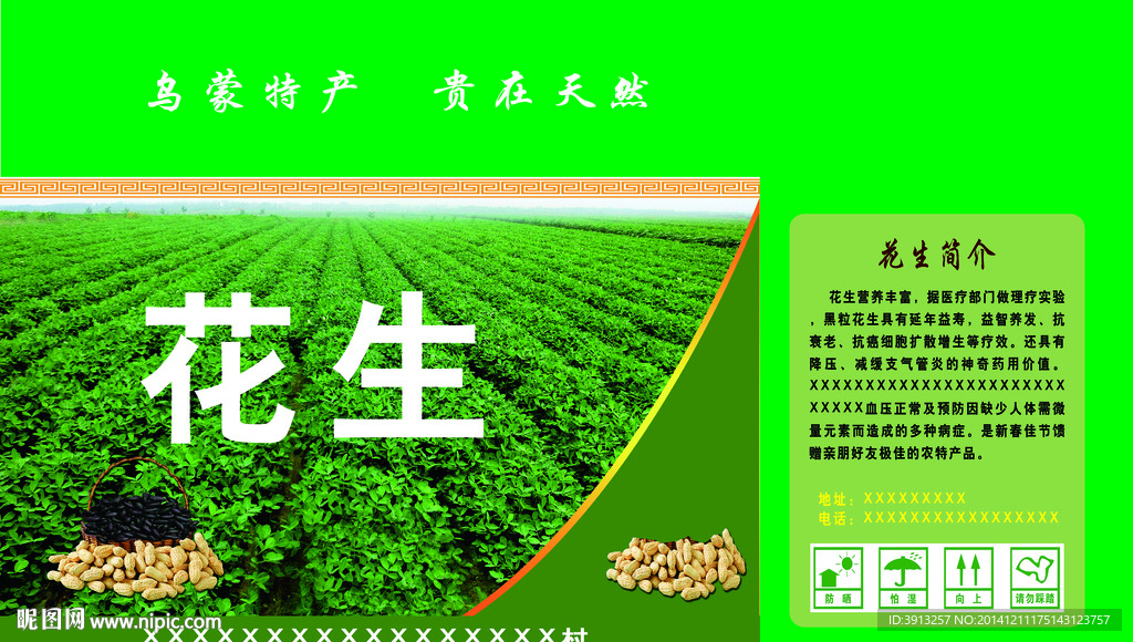 花生包装