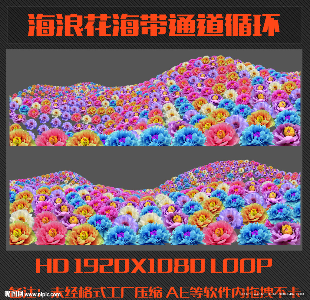 海浪花海带通道循环