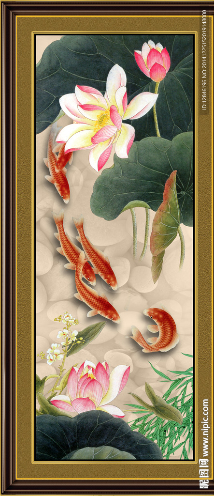 荷花